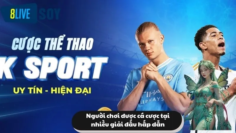 Soi kèo bóng đá 8Live như thế nào?
