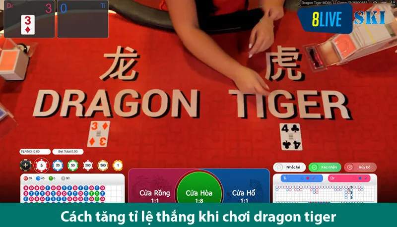Trò chơi dragon tiger live hấp dẫn và cách tăng cơ hội thắng cược