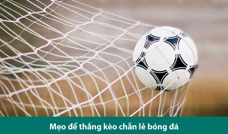 Phương pháp phân tích kèo chẵn lẻ nửa trận và mẹo đặt cược hiệu quả