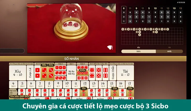 Học hỏi mẹo cược bộ 3 Sicbo chuẩn xác từ cao thủ cờ bạc online