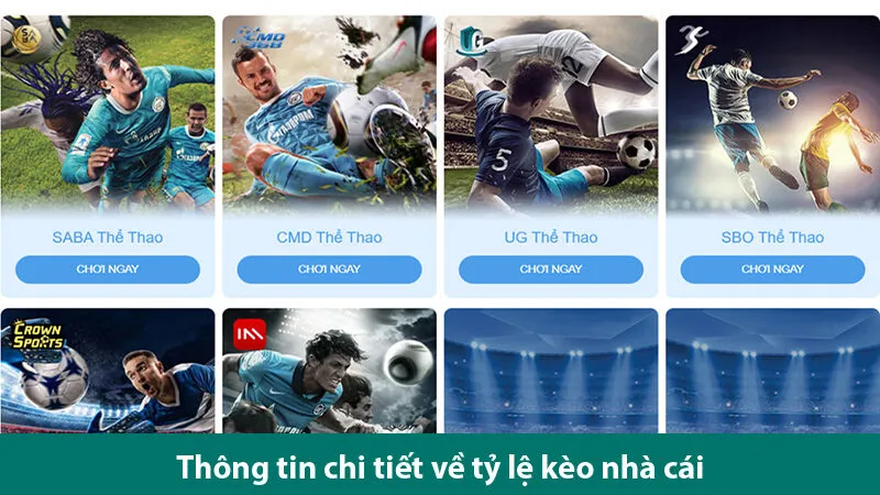 Hướng dẫn cách đọc tỷ lệ kèo bóng đá cho tân thủ