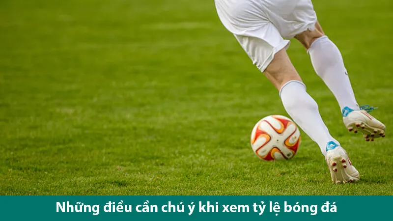 Hướng dẫn cách đọc tỷ lệ kèo bóng đá cho tân thủ
